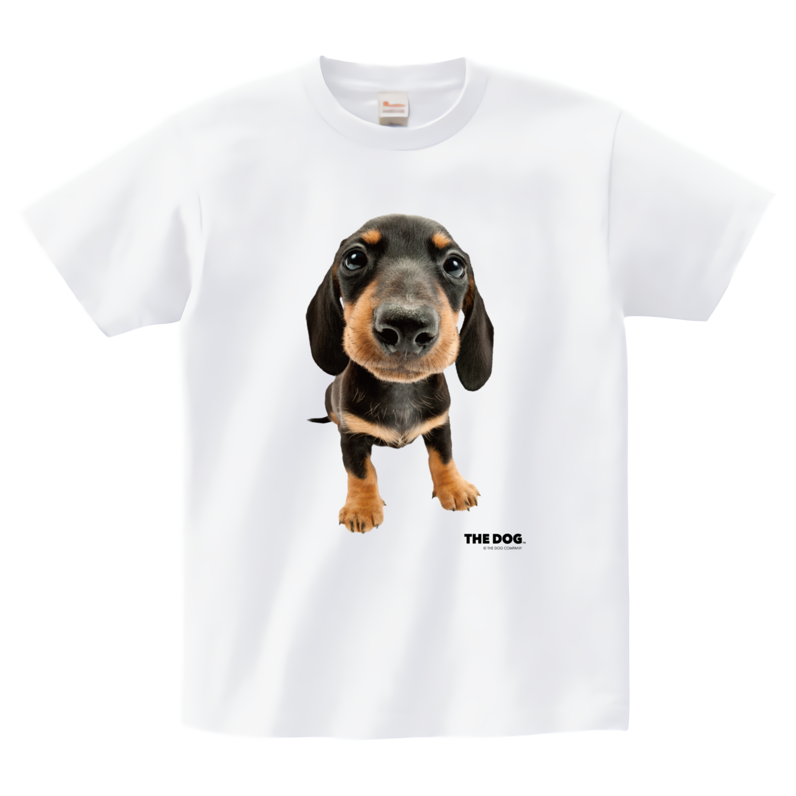 Dachshund Tシャツ（ダックスフンド） Tシャツ【オンデマンド転写 